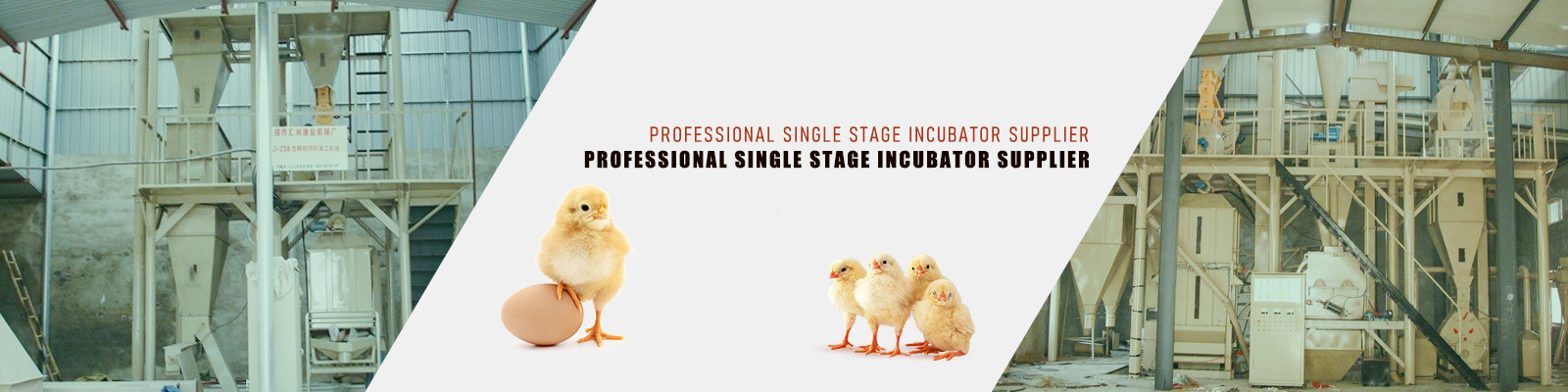 các sản phẩm