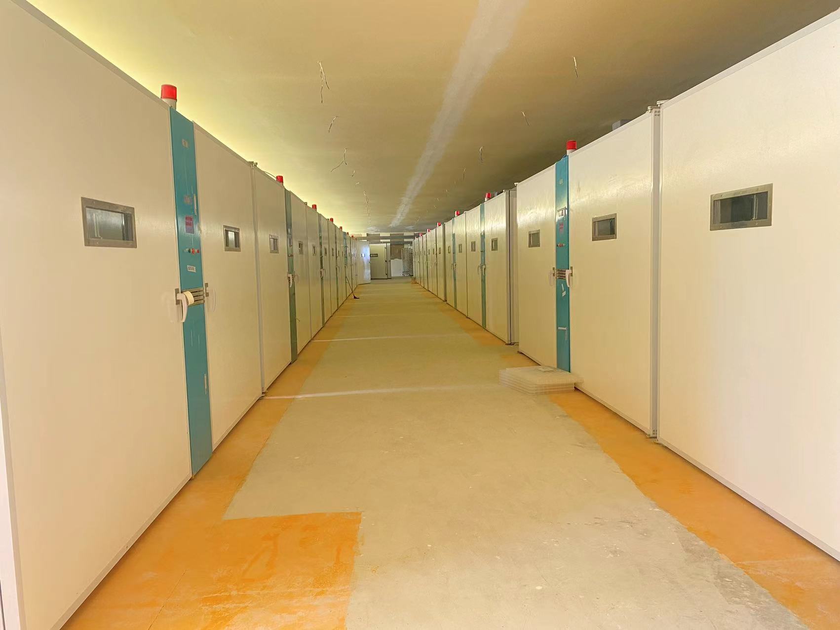 Blog công ty mới nhất về Giải pháp bền vững cho ngành gia cầm: Tại sao các lò ấp ở Châu Phi chuyển sang sử dụng ELT-57600S bằng thép không gỉ & sợi thủy tinh