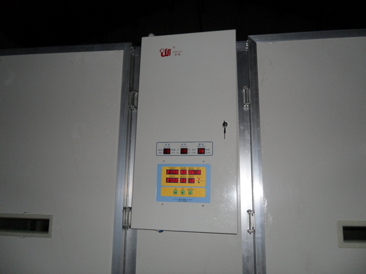 Ss Máy ấp trứng một giai đoạn cho trứng chim Máy ấp trứng công suất 10000