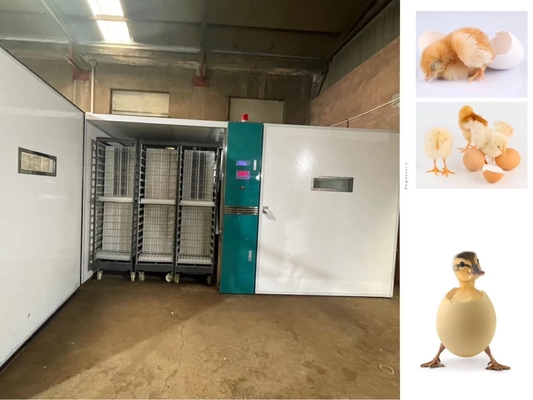 Mua 19200 Máy Ấp Trứng Quy Mô Lớn Ấp Vịt Chim Trứng Ngỗng online manufacture
