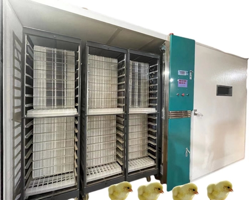 Mua Máy Ấp Trứng Tự Động Quy Mô Lớn 19200 Ấp Vịt Ngỗng Bồ Câu online manufacture