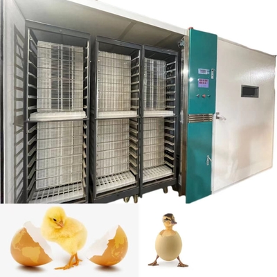 Mua Tỷ lệ nở 98% Máy ấp trứng gà tự động quy mô lớn 19200 online manufacture