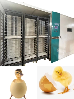 Mua Máy ấp trứng gà tự động quy mô lớn Tỷ lệ nở 98% online manufacture