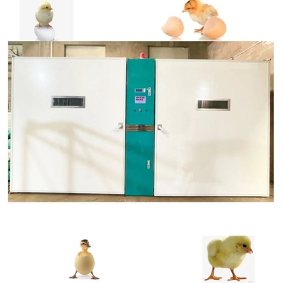 Mua Máy ấp trứng gà Big Farm Công suất lớn 19200 online manufacture