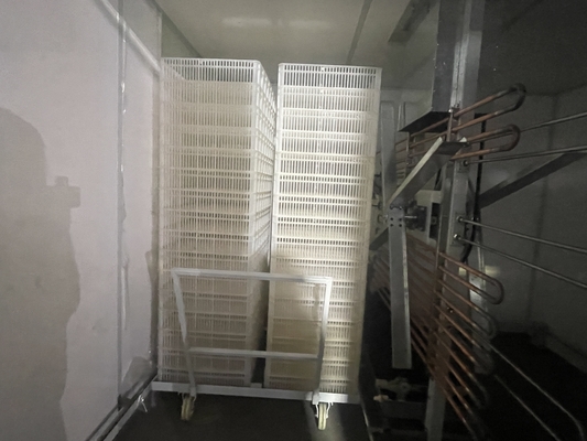 220V/50Hz Voltage Single Stage Incubator with ±1°C Temperature Uniformity