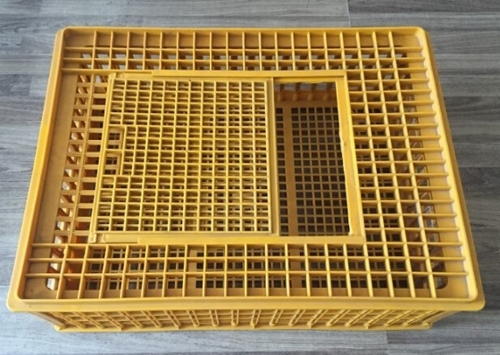 Mua Phụ kiện Chuồng gà Vận chuyển Gia cầm Lồng nhựa nuôi gà 732x534x260mm online manufacture