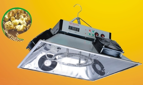 Mua Máy sưởi ấm gà thịt gia cầm bằng điện Máy sưởi khí cho trang trại gia cầm online manufacture
