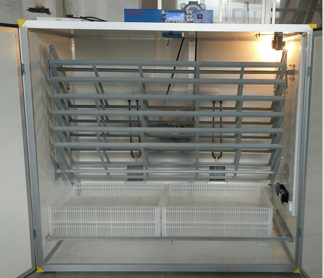 Mua Chim trĩ ấp 2000 trứng online manufacture