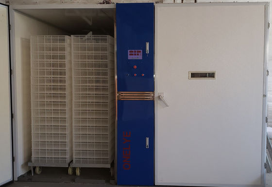 Mua 28800 Thiết bị ấp trứng gà Máy ấp trứng gà con online manufacture