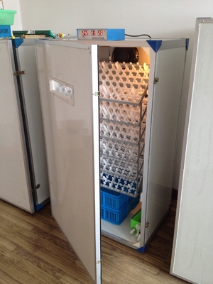 Mua Easy Hatch Máy ấp trứng hoàn toàn tự động cho trứng gà Máy ấp công suất 300 trứng online manufacture