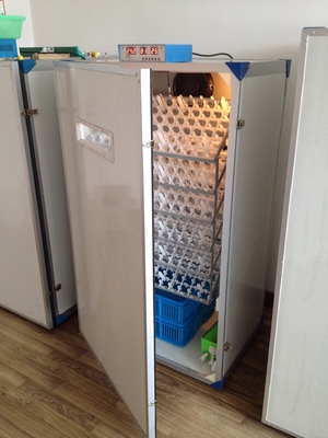 Mua Máy ấp trứng gia cầm tự động Máy ấp 600 trứng online manufacture