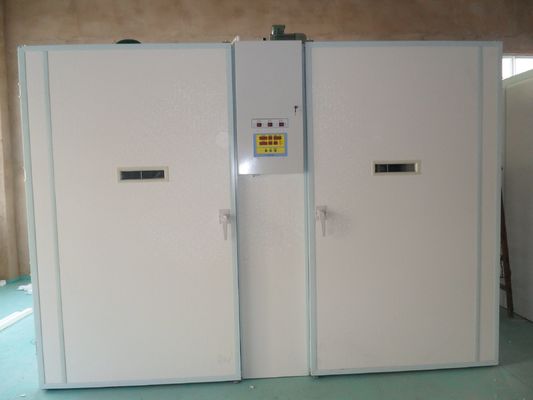 Mua Máy ấp trứng công nghiệp hoàn toàn tự động 12000 trứng Máy ấp trứng vịt online manufacture