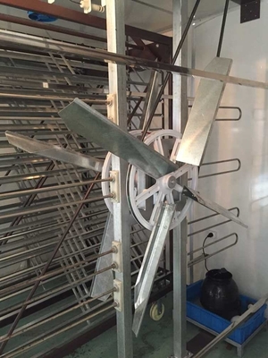 Mua Máy ấp trứng nhiều giai đoạn và tủ ấp trứng Tủ ấp trứng Công suất 3000 trứng online manufacture