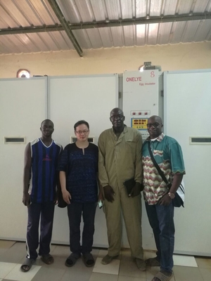 Mua Máy ấp trứng cút thương mại công nghiệp 90000 trứng tự động quay 6.5kw online manufacture