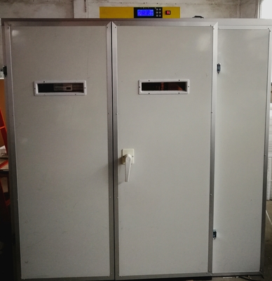 Mua 3960 Thiết bị ấp trứng gà Cockatiel cho máy ấp trứng gà với máy quay tự động online manufacture