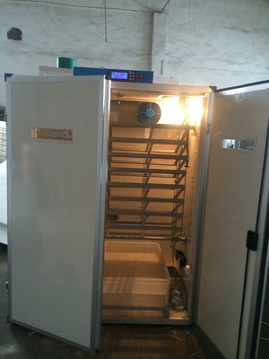 Mua Máy ấp trứng kỹ thuật số Máy ấp trứng 7956 Máy ấp trứng cút online manufacture