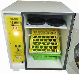 Mua Jumbo Pigeon Máy ấp trứng tự động đa chế độ thông minh 672 trứng online manufacture