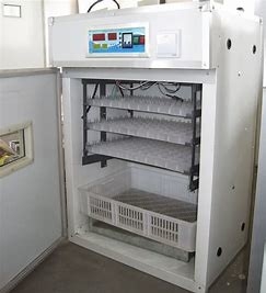 Mua 200PCS Máy ấp trứng gia cầm Jumbo Phần ép đùn online manufacture