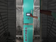 Trứng đặt ủ ủ ấp ủ